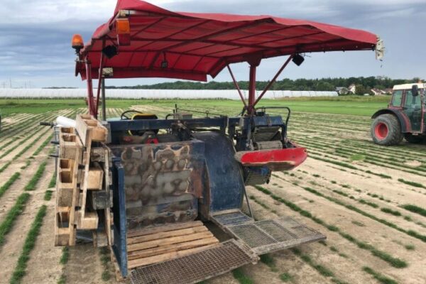 Used Sod Harvester Brouwer SH 1560